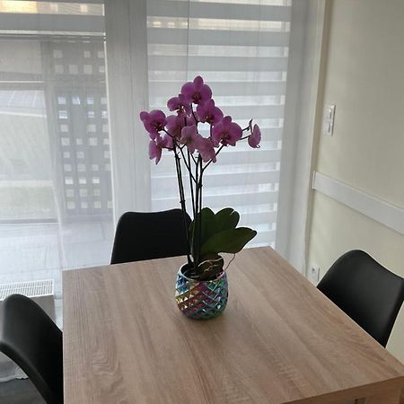 Apartament „Dwie Wieze” Διαμέρισμα Κατοβίτσε Εξωτερικό φωτογραφία